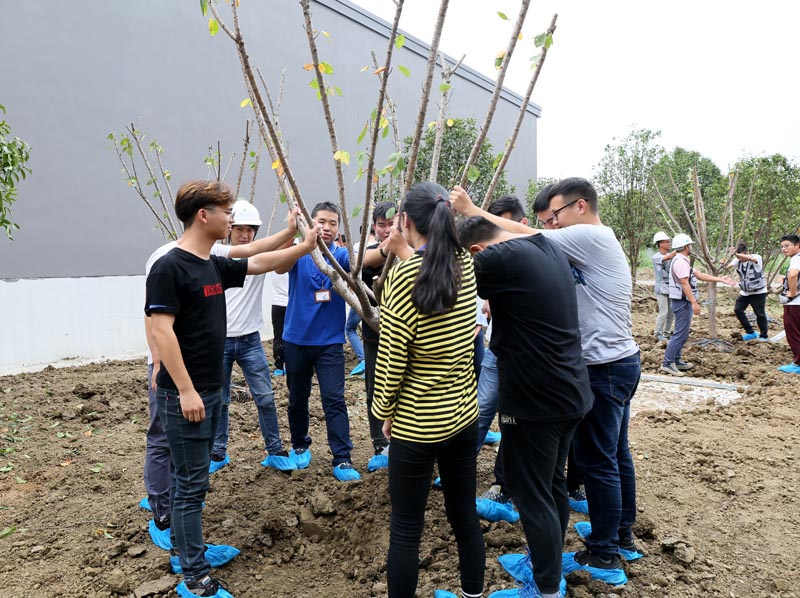 7員(yuán)工種植web.jpg 7員(yuán)工種植web.jpg